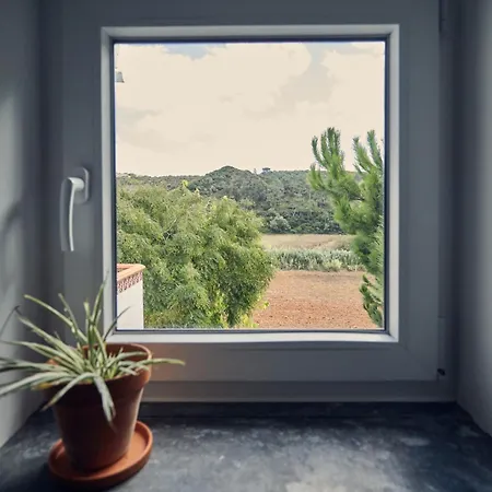 Coliving & Cowork In Ericeira By Barefoot Portugal بيت خشبي *