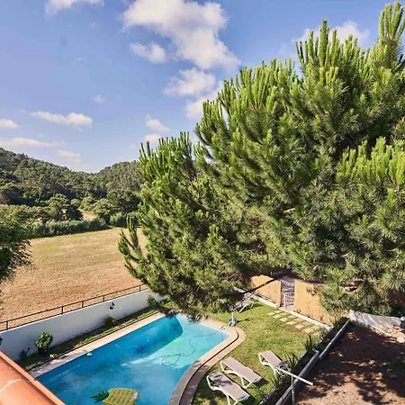 Coliving & Cowork In Ericeira By Barefoot Portugal بيت خشبي Santo Isidoro