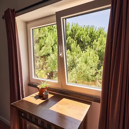 Coliving & Cowork In Ericeira By Barefoot Portugal بيت خشبي