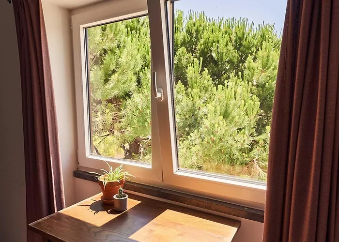 Coliving & Cowork In Ericeira By Barefoot Portugal אכסניה