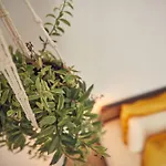 Coliving & Cowork In Ericeira By Barefoot Portugal Domek letniskowy *
