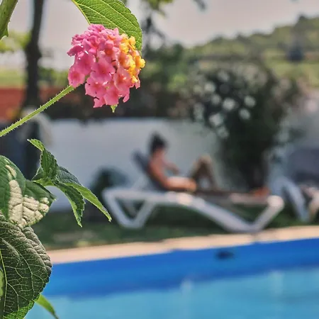 Lodge Coliving & Cowork In Ericeira By Barefoot Portugal