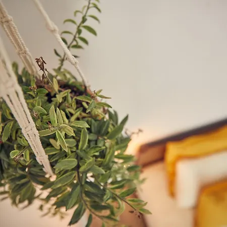 Coliving & Cowork In Ericeira By Barefoot Portugal Lodge *