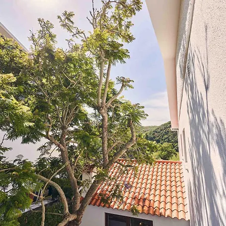 Coliving & Cowork In Ericeira By Barefoot Portugal Lodge Santo Isidoro