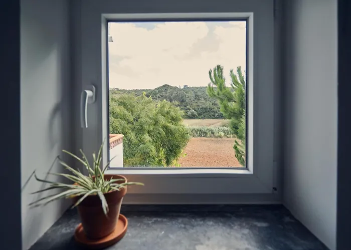 Coliving & Cowork In Ericeira By Barefoot Portugal Деревянный коттедж *