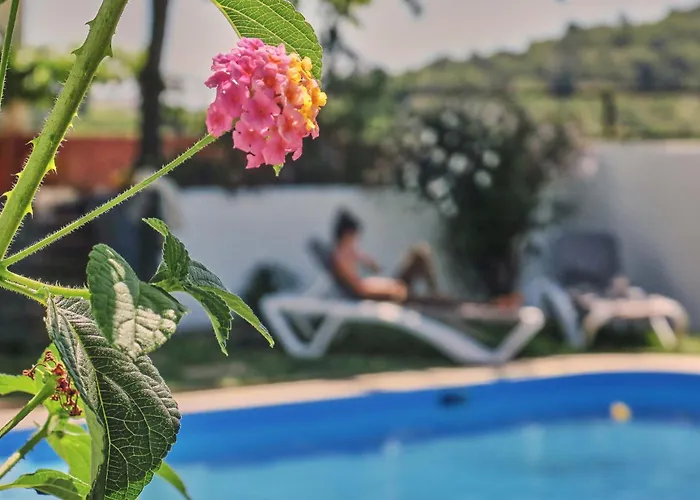 Деревянный коттедж Coliving & Cowork In Ericeira By Barefoot Portugal