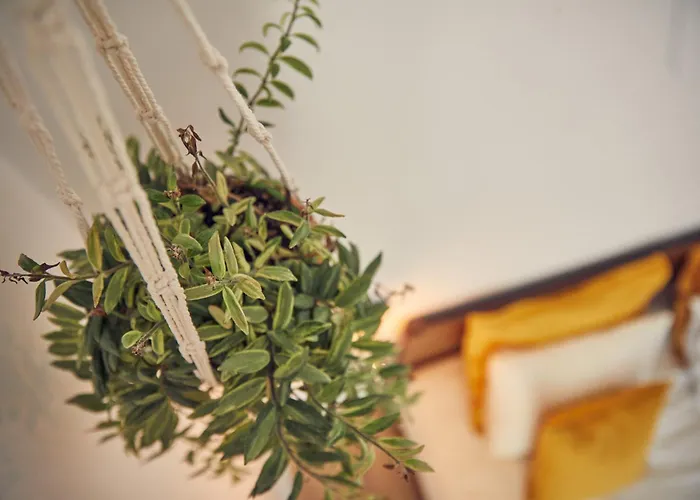 Coliving & Cowork In Ericeira By Barefoot Portugal Gerendaház *